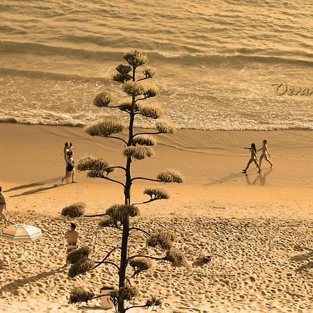 Velarde Ii Appartamento *